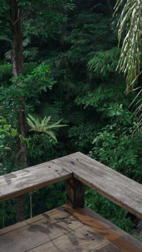 a wooden bench sitting in front of a forest at The Karu Cabin in Penebel