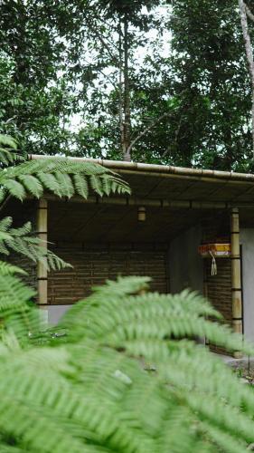 a building in the woods with green plants at The Karu Cabin in Penebel