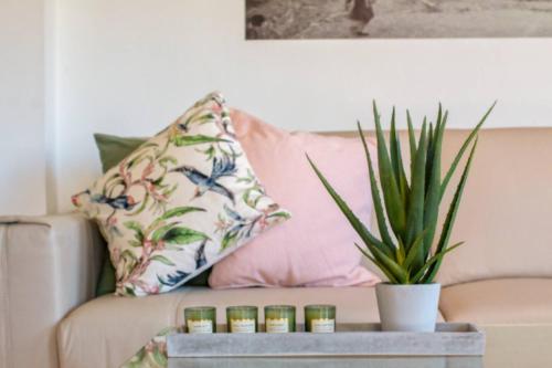 a living room with a couch with a potted plant at Apartamento Sant Pere II in Benissa