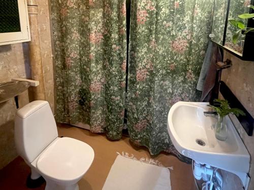 a bathroom with a toilet and a sink at Norrgården Hälsingland in Vallsta