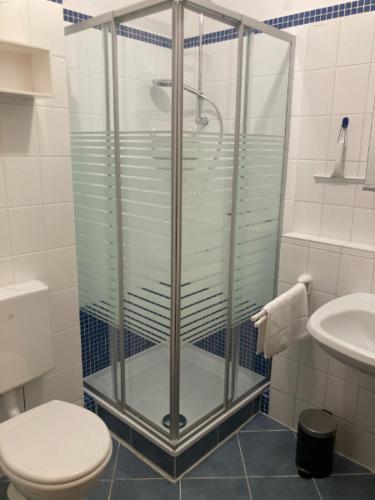 a bathroom with a shower and a toilet and a sink at Sonnenstern Lemkenhafen in Fehmarn