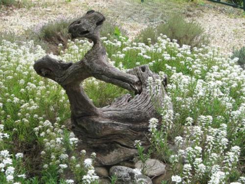 Κήπος έξω από το Domaine De JI