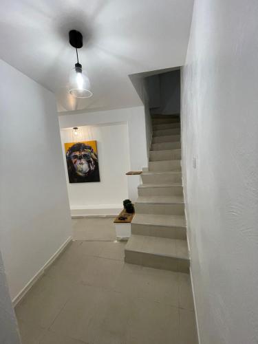 Φωτογραφία από το άλμπουμ του Charming 3 rooms with terrace σε Vence