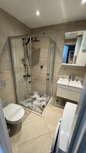 a bathroom with a shower and a toilet and a sink at Hedi 18 Apartment in Batumi