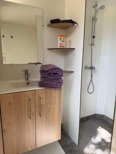 a bathroom with a sink and a mirror at EcoLodge Libellule romantique pour amoureux in Cazats