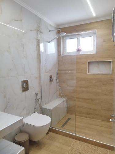 a bathroom with a toilet and a glass shower at Christina's Home in Sarti