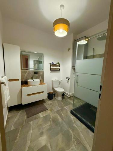 a bathroom with a toilet and a sink and a mirror at Apartament Palace Baile Felix in Baile Felix