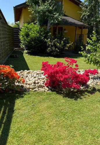 a garden with red flowers and a stone wall at Wellness soba Skriti raj Banovci in Banovci