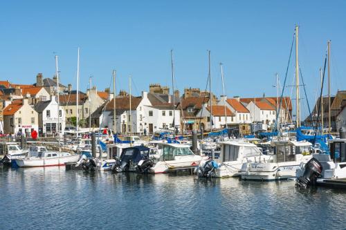 a bunch of boats docked in a marina with houses at Bayview in Anstruther
