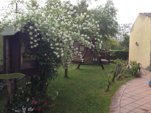 a flowering tree with white flowers in a yard at A Due Passi Da in Aci SantʼAntonio