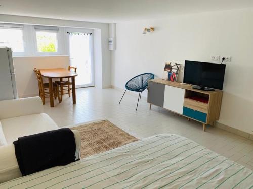 un salon avec un canapé, une télévision et une table dans l'établissement Studio a 2kms du port, à Vannes