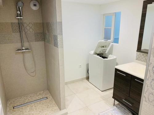 une salle de bain avec douche et lavabo dans l'établissement Studio a 2kms du port, à Vannes
