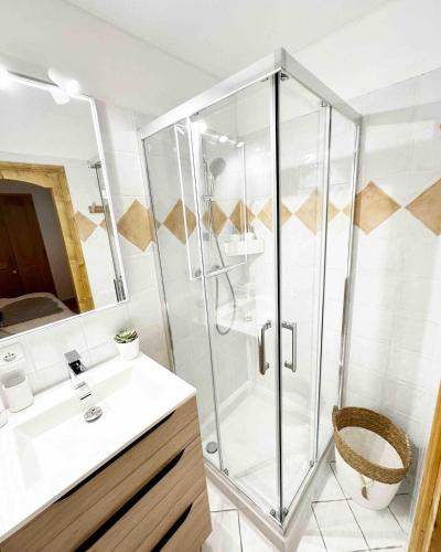 une salle de bain avec douche et lavabo dans l'établissement L'Ourson aux pieds des pistes & piscine chauffée, à Crest-Voland