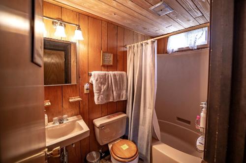 un piccolo bagno con un water e un lavandino di Rustic Cabin Rental with a Hot Tub near Windham, New York a Windham