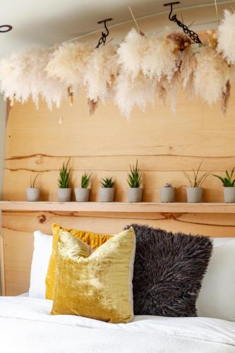 a bedroom with a bed with potted plants on a shelf at The Floating Terrarium in London
