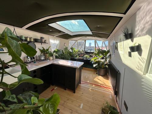 a room with a kitchen with a lot of plants at The Floating Terrarium in London