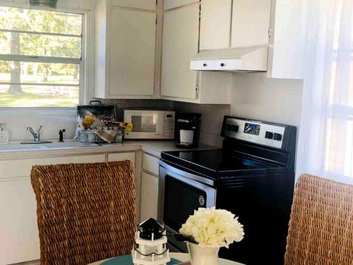 GunterCharming Lake Fork Cabin in East Texas near Dallas的厨房配有黑炉和微波炉