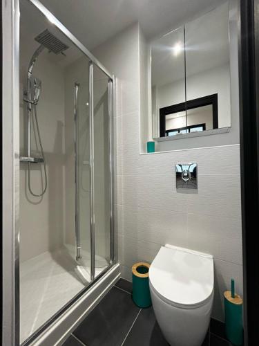 une salle de bain avec une douche, des toilettes et un lavabo dans l'établissement La Suite Auzette, calme et chic, à Panazol