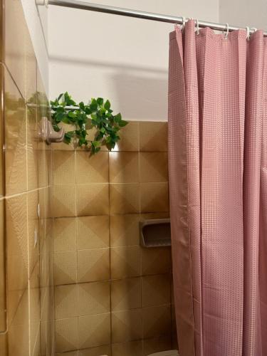 a plant sitting on top of a shower curtain at Kassiopi Apartmets4you III in Kassiopi
