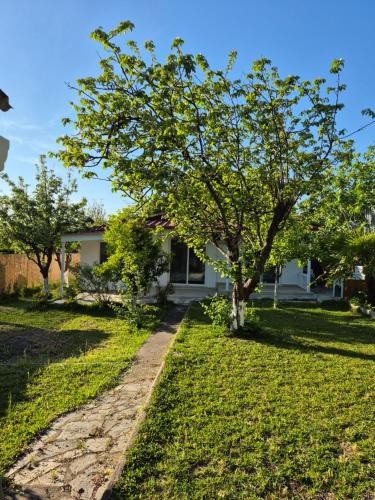 a house with a tree in the yard at Villa Aspri in Nea Kalikratia