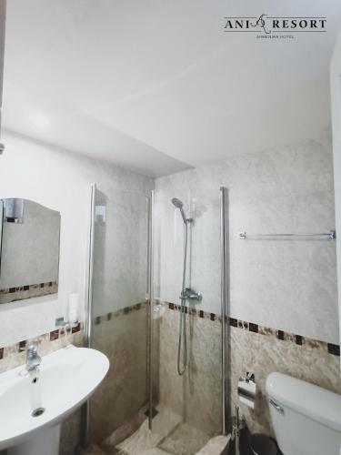 a bathroom with a shower and a sink and a toilet at Ani Resort in Artavaz