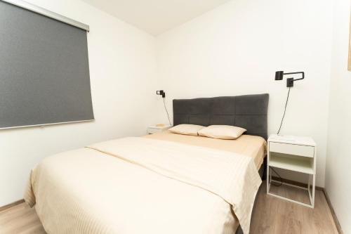 Charming and cute apartment,1001