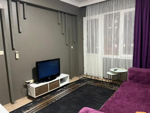 TV a/nebo společenská místnost v ubytování alatuğ apart otel
