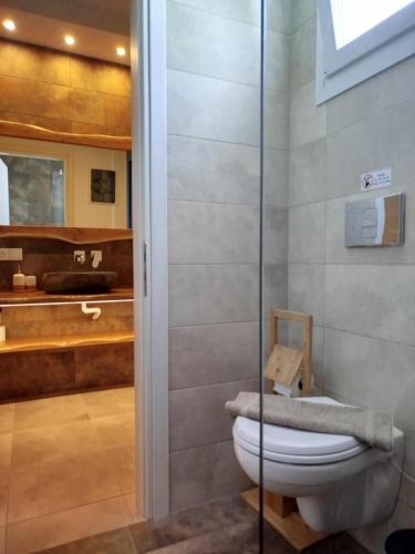 a bathroom with a toilet and a shower at Glaronisia Hotel in Pollonia