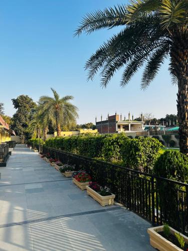 a sidewalk with plants and a fence and a palm tree at Nirvana Lawn in Lucknow