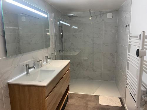 ein Badezimmer mit Waschbecken und Dusche in der Unterkunft Gite de la Plaine in Cubjac