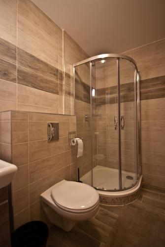 a bathroom with a toilet and a shower at Areál Přístav in Horní Soběšovice