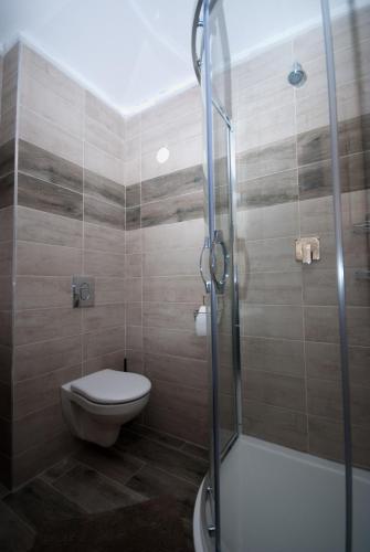 a bathroom with a toilet and a glass shower at Areál Přístav in Horní Soběšovice