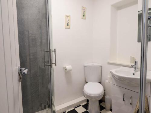 ドルゲラウにある6 Smithfield Laneのシャワー、トイレ、洗面台を備えたバスルーム