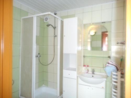 a bathroom with a shower and a sink at Przy lesie in Nowe