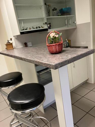 Una cocina o zona de cocina en Wohnoase mit gratis Parkplatz