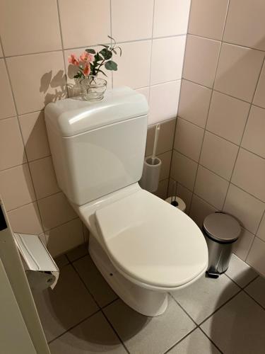 baño con aseo y jarrón con flores en Wohnoase mit gratis Parkplatz, en Basilea