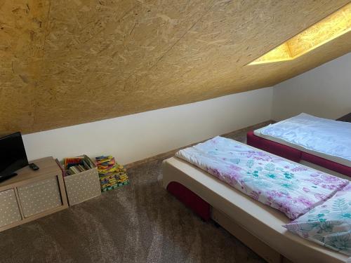 a bedroom with two beds and a tv in a room at Ubytování U Truhlářů Šaldorf in Nový Šaldorf