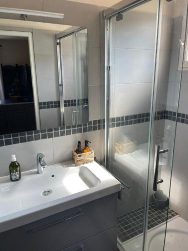 une salle de bain avec un lavabo et une douche dans l'établissement Les Jardins d'Holi appartement proche Uzès, à Garrigues-et-Sainte-Eulalie