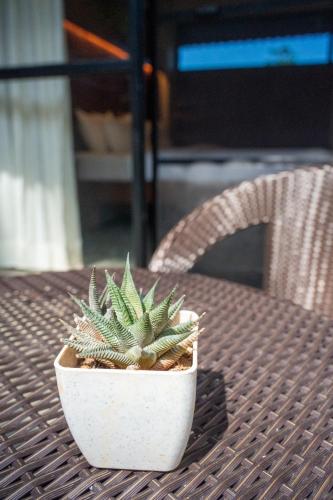 a plant in a white pot sitting on a table at Villa Katipadu Coorg in Srimangala
