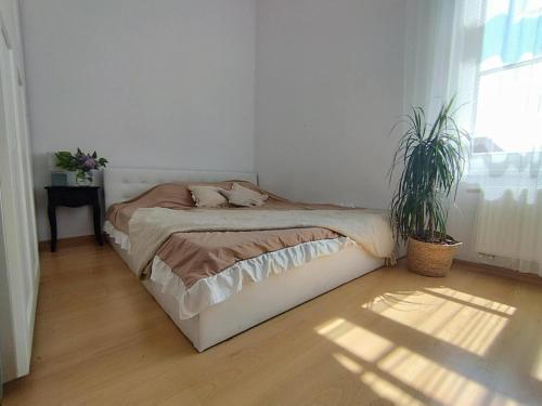 Przytulne mieszkanie pod jaśminem