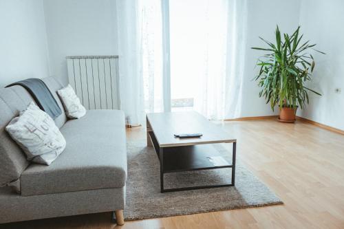 a living room with a couch and a coffee table at Apartma Frigidum in Vipava