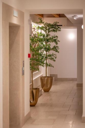 two trees in large pots in a hallway at Hotel Villa Leopardi 4S - Adults only in Torri del Benaco