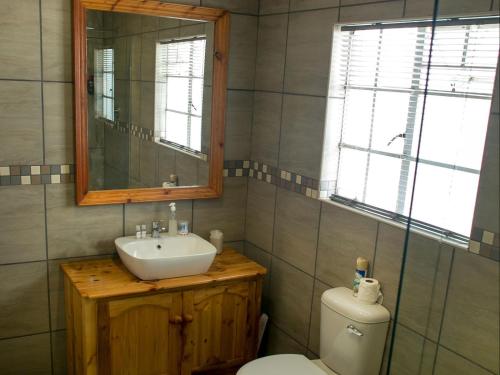 a bathroom with a sink and a toilet and a mirror at Nobis House Annex in Bloemfontein