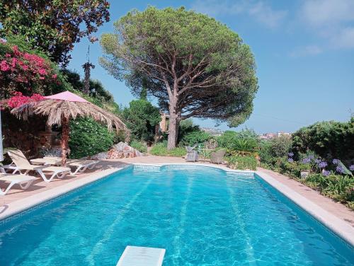 Πισίνα στο ή κοντά στο villa luna