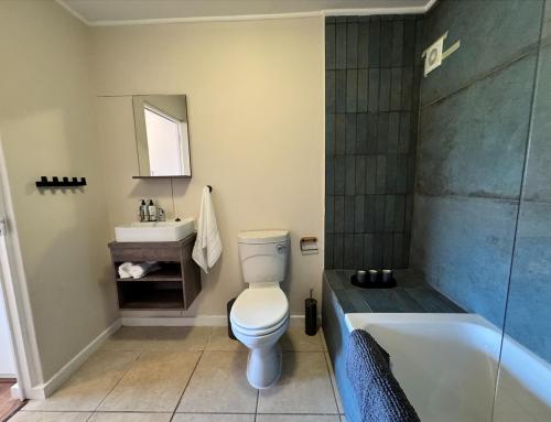 a bathroom with a toilet and a sink and a tub at Ocean facing apartment in Hout Bay