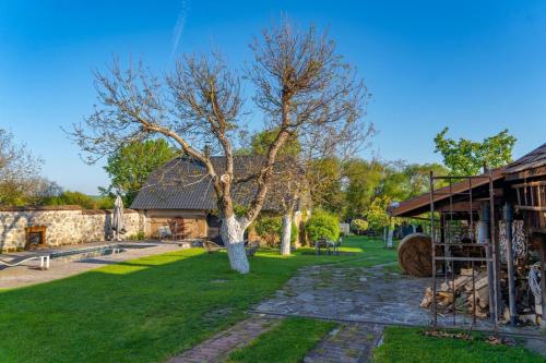 a tree in a yard next to a building at DVOR 13 Hokovce in Hokovce