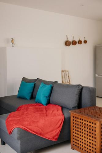 a living room with a gray couch with a red blanket at Pied à Terre in Bain-de-Bretagne