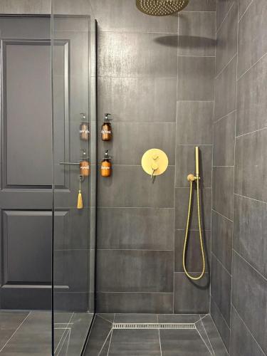 a bathroom with a shower with a glass door at Love&Loft central park with private garden in Baia Mare