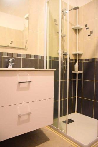 une salle de bain avec une douche avec une porte vitrée dans l'établissement Appartement l'Orangeraie, à Calvi