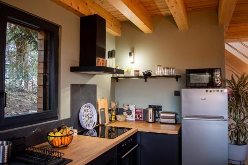 a kitchen with a refrigerator and a counter at Les Gites du O' Forêt-Gîte O'rizon avec bain nordique et magnifique vue sur la plaine du forez in Verrières-en-Forez